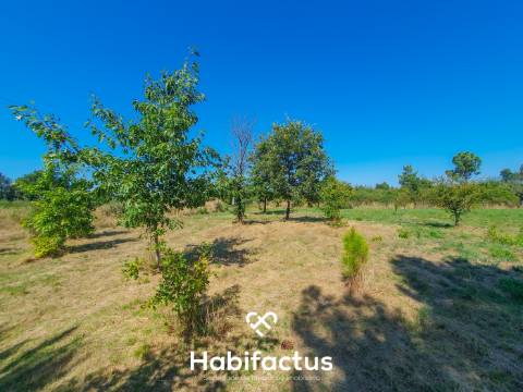 Terreno Rústico de 5.200m² em Vila Chá, Seia – Privacidade, Natureza e Potencial
