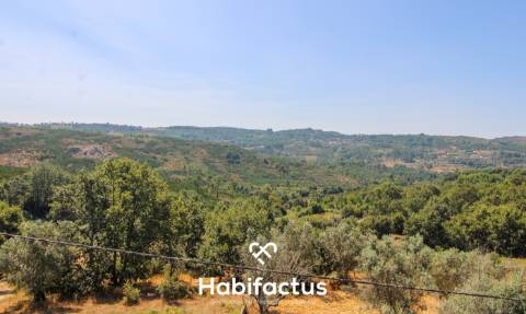 Moradia Rústica T3 em Miusela, Penalva do Castelo