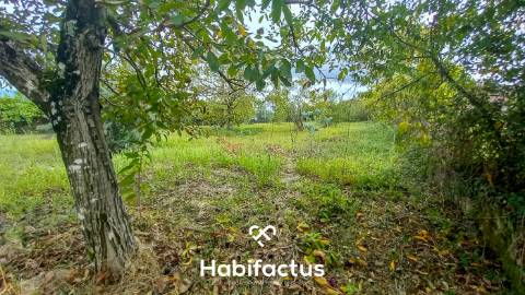 Moradia Senhorial à venda em Sobreda - Oliveira do Hospital - Coimbra
