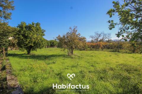 Moradia Senhorial à venda em Sobreda - Oliveira do Hospital - Coimbra