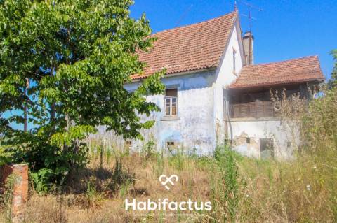 Quinta para Venda em Mangualde