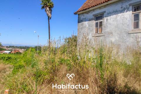 Quinta para Venda em Mangualde
