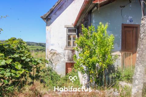 Quinta para Venda em Mangualde