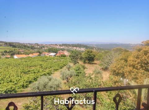 Quinta para Venda em Mangualde