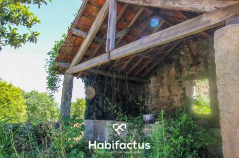 Quinta para Venda em Mangualde