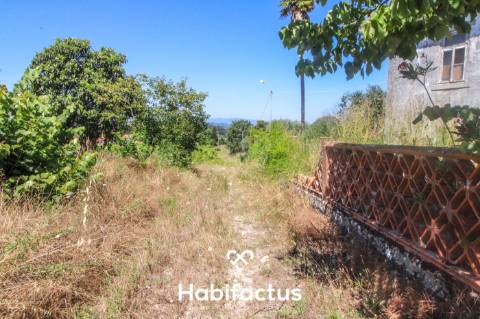 Quinta para Venda em Mangualde