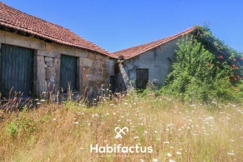 Quinta para Venda em Mangualde