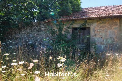 Quinta para Venda em Mangualde