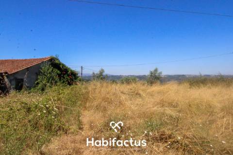 Quinta para Venda em Mangualde