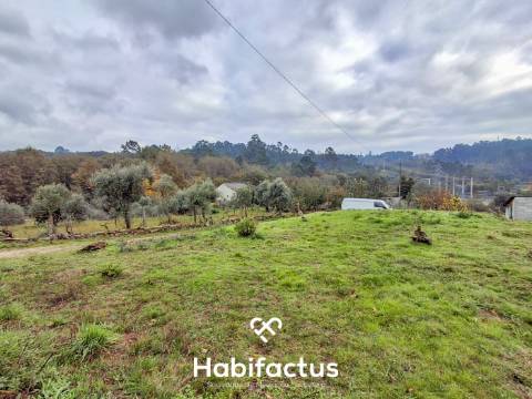 Terreno para construção com 1000 m2 em Viseu