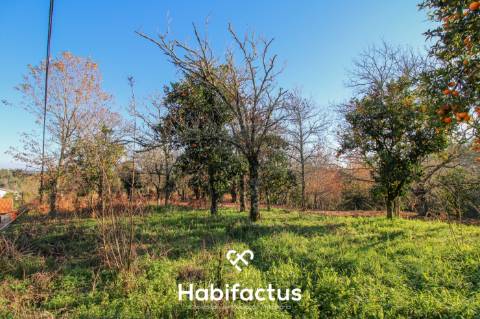 Terreno amplo e versátil com potencial de construção em Santiago de Besteiros