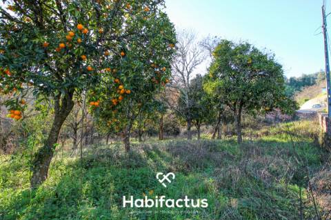 Terreno amplo e versátil com potencial de construção em Santiago de Besteiros