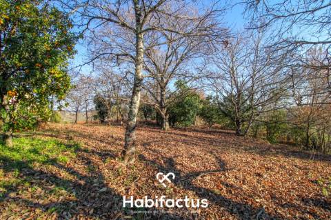 Terreno amplo e versátil com potencial de construção em Santiago de Besteiros