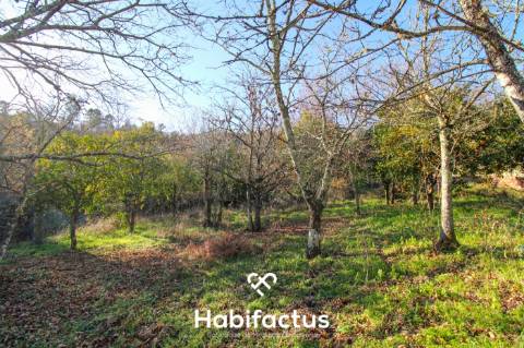 Terreno amplo e versátil com potencial de construção em Santiago de Besteiros