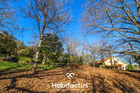 Terreno amplo e versátil com potencial de construção em Santiago de Besteiros
