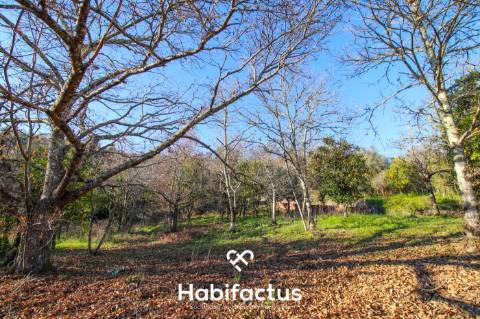 Terreno amplo e versátil com potencial de construção em Santiago de Besteiros