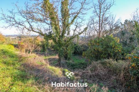 Terreno amplo e versátil com potencial de construção em Santiago de Besteiros