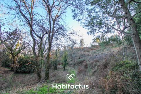 Terreno amplo e versátil com potencial de construção em Santiago de Besteiros