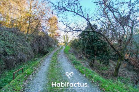 Terreno amplo e versátil com potencial de construção em Santiago de Besteiros