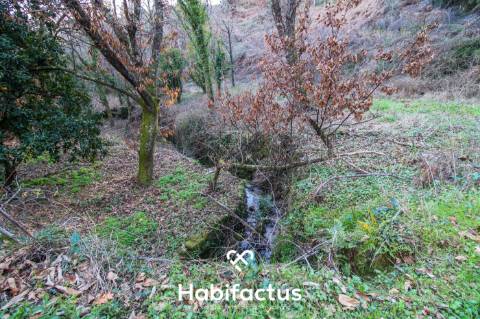 Terreno amplo e versátil com potencial de construção em Santiago de Besteiros