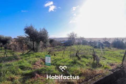 Terreno rústco com a área de 9156,69 na zona da Póvoa de Muscoso, São João de Lourosa, Viseu