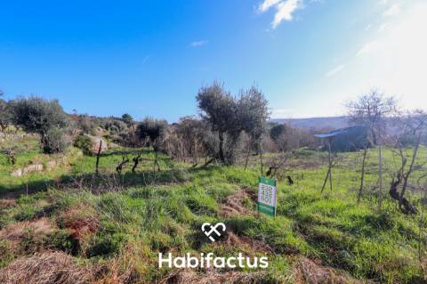 Terreno rústco com a área de 9156,69 na zona da Póvoa de Muscoso, São João de Lourosa, Viseu