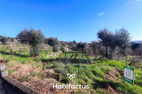 Terreno rústco com a área de 9156,69 na zona da Póvoa de Muscoso, São João de Lourosa, Viseu