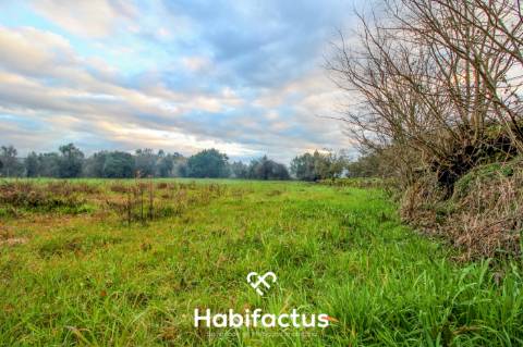 Terreno para Construção em Povolide - Viseu