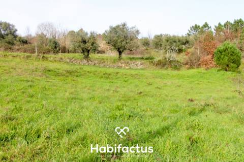 Terreno Rústico para construção - Viseu