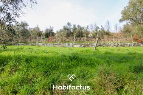 Terreno Rústico para construção - Viseu