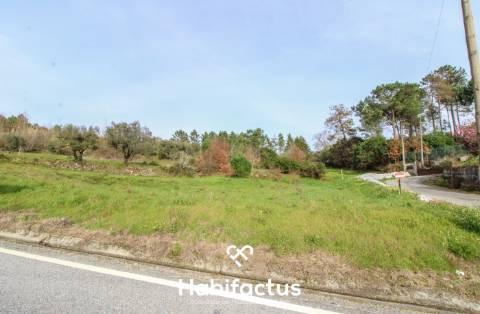 Terreno Rústico para construção - Viseu