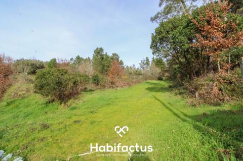 Terreno Rústico para construção - Viseu