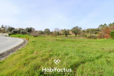 Terreno Rústico para construção - Viseu