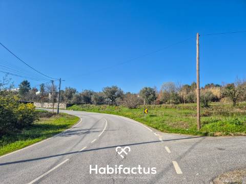 Terreno Rústico para construção - Viseu
