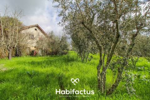 Terreno com potencial para projeto agricola