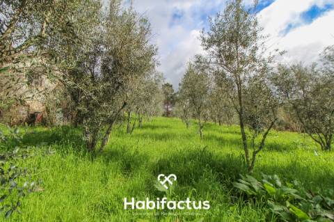 Terreno com potencial para projeto agricola