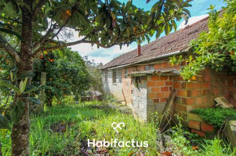 Terreno com potencial para projeto agricola