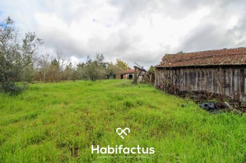 Terreno com potencial para projeto agricola