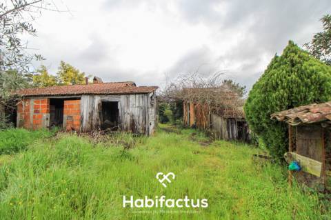 Terreno com potencial para projeto agricola