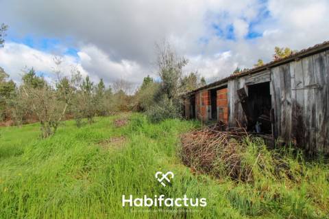 Terreno com potencial para projeto agricola