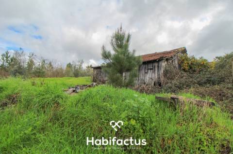 Terreno com potencial para projeto agricola