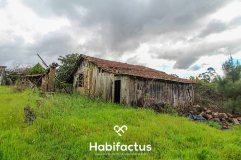 Terreno com potencial para projeto agricola