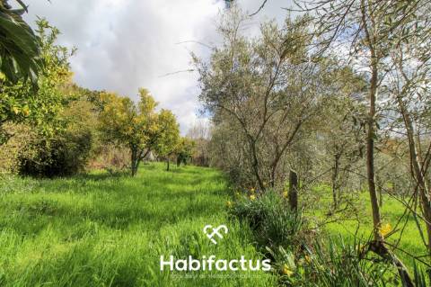 Terreno com potencial para projeto agricola