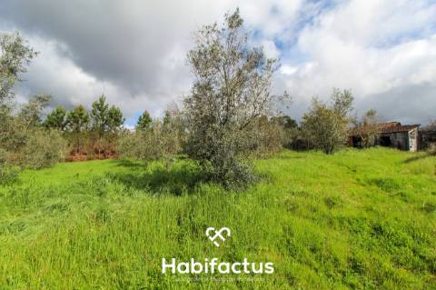 Terreno com potencial para projeto agricola