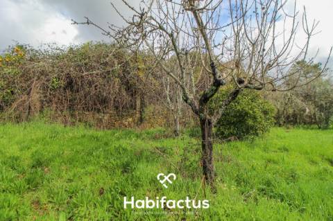 Terreno com potencial para projeto agricola