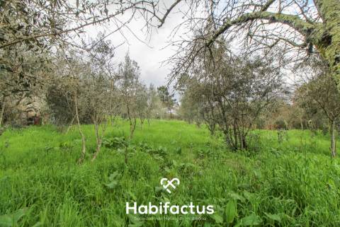 Terreno com potencial para projeto agricola