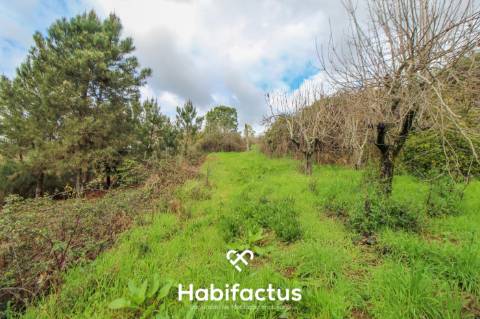 Terreno com potencial para projeto agricola