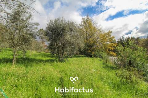 Terreno com potencial para projeto agricola