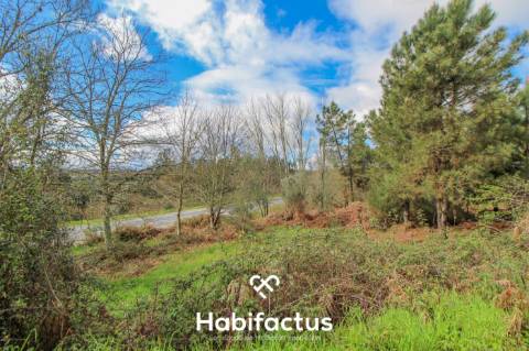 Terreno com potencial para projeto agricola