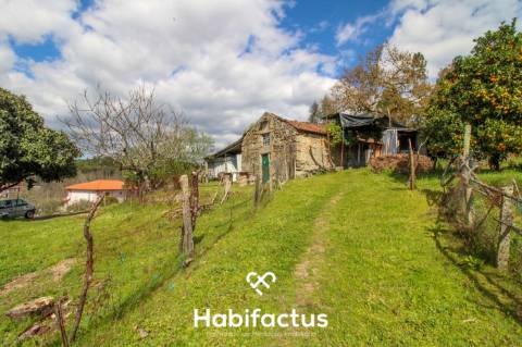 Quinta para venda em Tondela